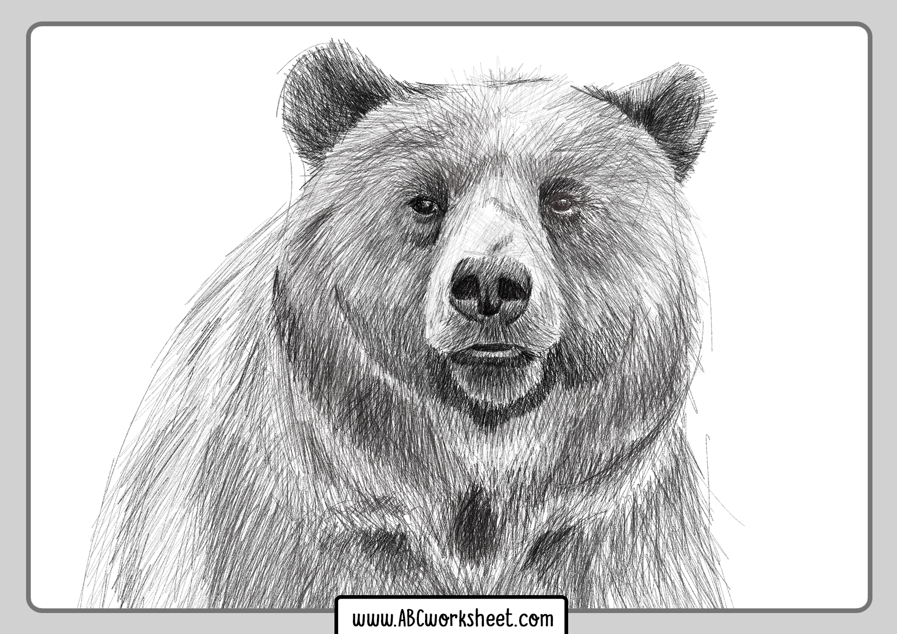 Grizzly Coloring Page Grizzly Bear Coloring Pages - Mejikuhibiniu ...