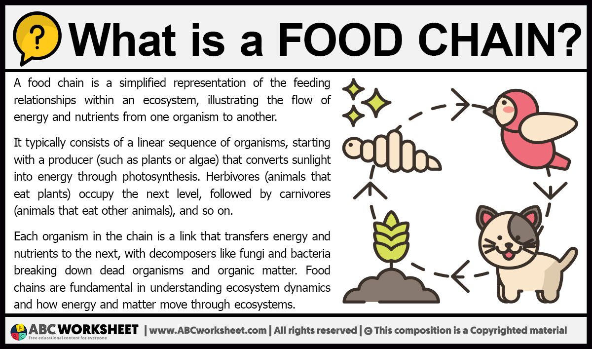 food-chain-definition-types-facts-britannica