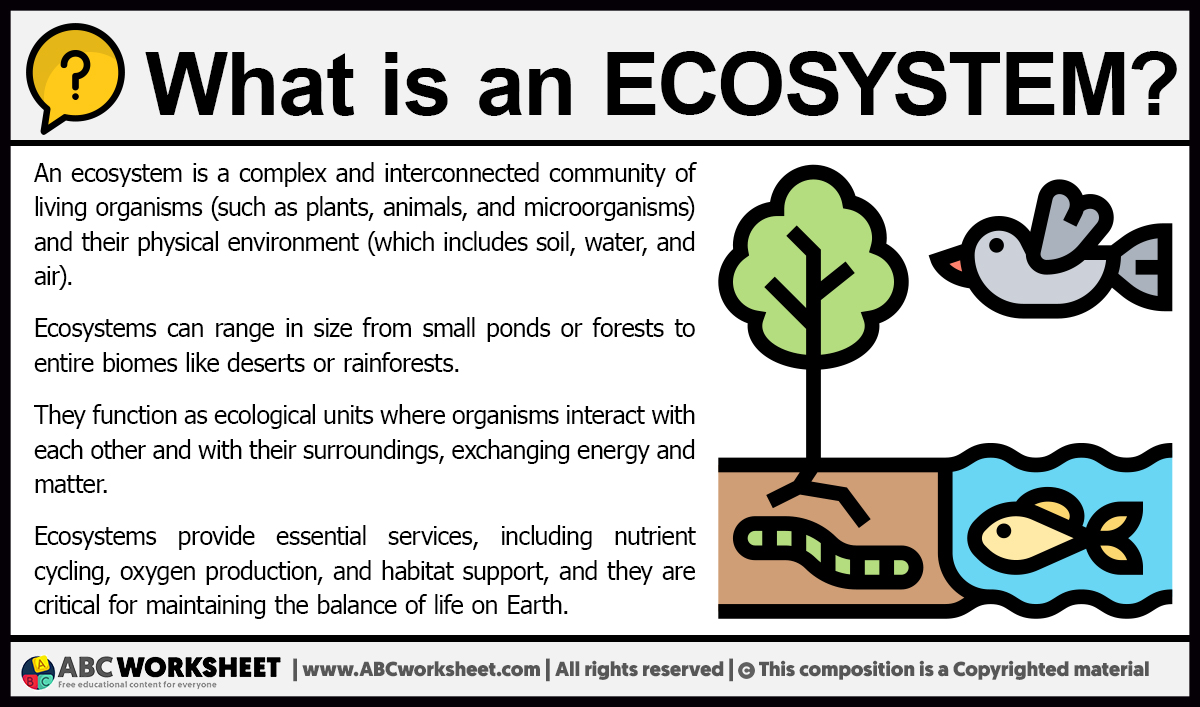 What is an Ecosystem | Definition of Ecosystem